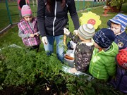 Sklízíme úrodu na školní zahrádce